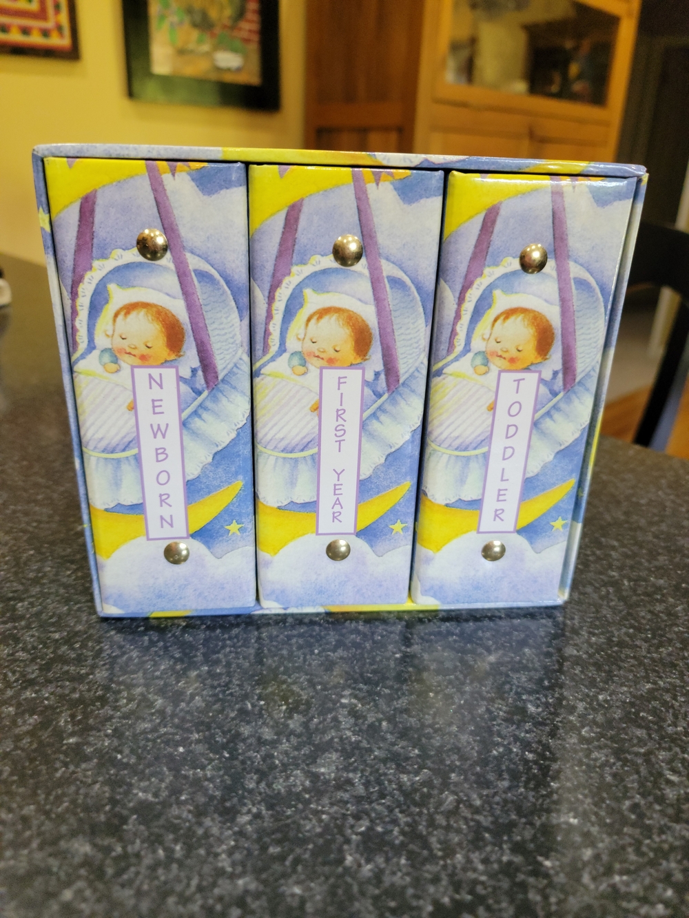 Set of 3 Baby Milestone 2-Ring Binders w/ Sleeves & Tabs 1/2in 100 Sheet